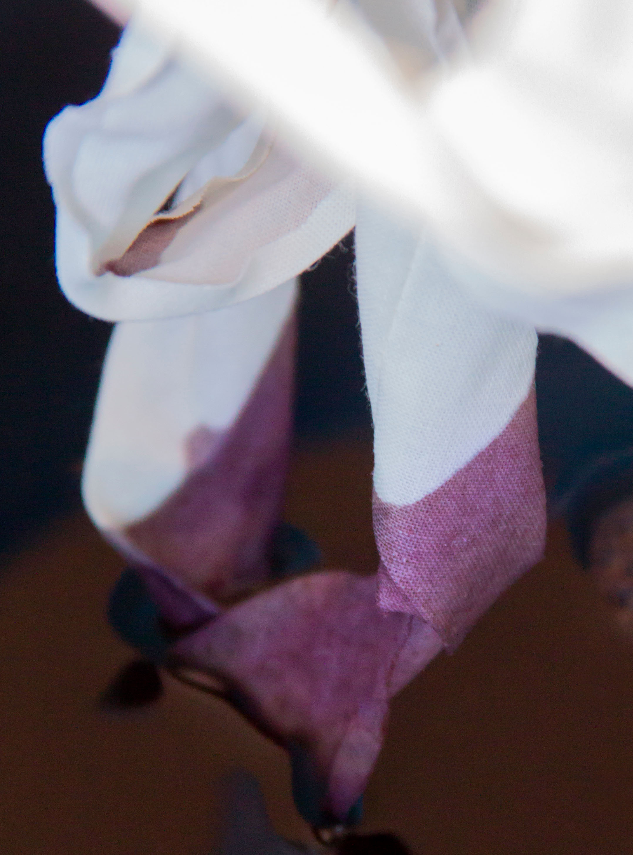 We chose to work using exclusively natural dyes. Why?